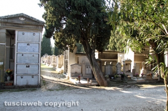 Tombe distrutte e alberi divelti