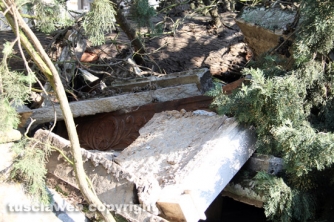 Tombe distrutte e alberi divelti