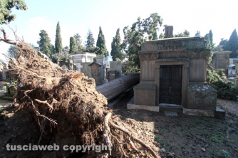 Tombe distrutte e alberi divelti