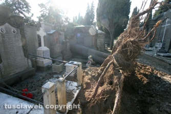 Tombe distrutte e alberi divelti