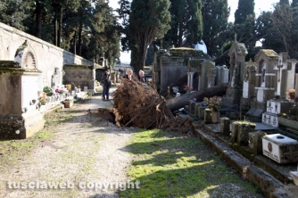 Tombe distrutte e alberi divelti