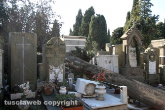 Tombe distrutte e alberi divelti
