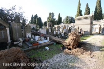 Tombe distrutte e alberi divelti