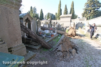 Tombe distrutte e alberi divelti