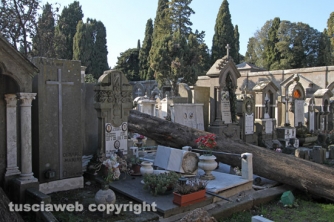 Tombe distrutte e alberi divelti