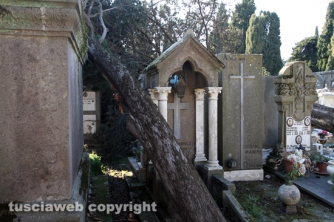 Tombe distrutte e alberi divelti