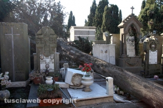 Tombe distrutte e alberi divelti