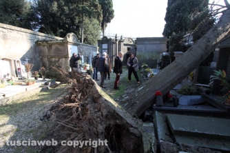 Tombe distrutte e alberi divelti