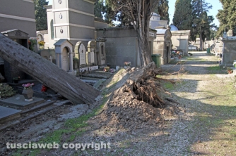 Tombe distrutte e alberi divelti