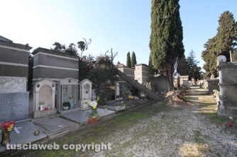 Tombe distrutte e alberi divelti