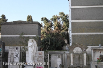 Tombe distrutte e alberi divelti