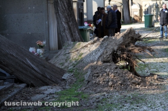 Tombe distrutte e alberi divelti
