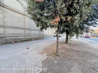 Viterbo - Cimitero di San Lazzaro, area a rischio crollo