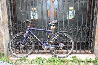 Metropolitan