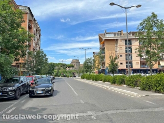 Cinghiali in via Genova