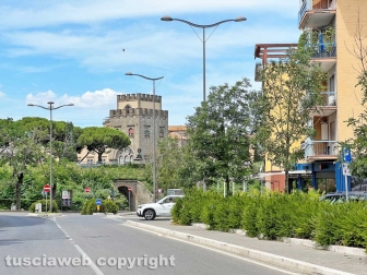 Cinghiali in via Genova