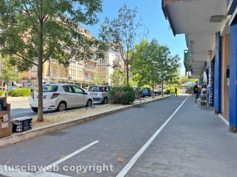 Cinghiali in via Genova