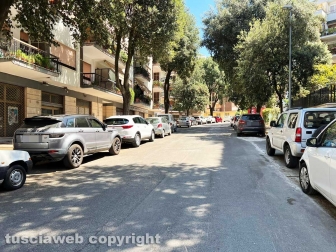 Cinghiali in via Genova