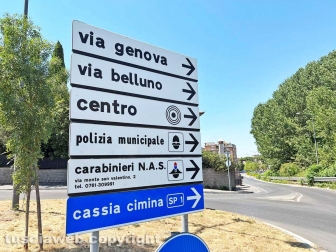 Cinghiali in via Genova