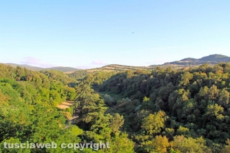 Civitella Cesi