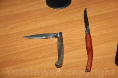 Coltivazione di canapa indiana sequestrata