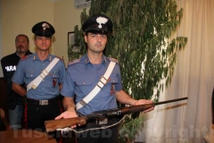 Coltivazione di canapa indiana sequestrata