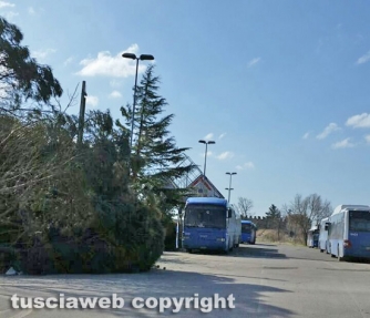 Maltempo - Albero crollato al deposito Cotral