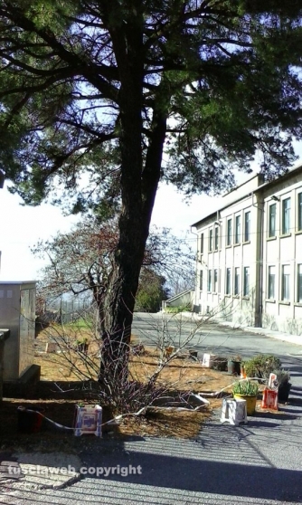 San Martino - La situazione nella scuola