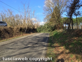 Strada Gallese - Centignano