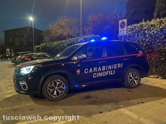 Viterbo - I controlli dei carabinieri