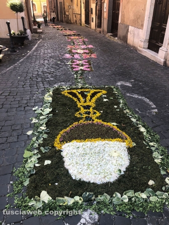 Civita Castellana - Corpus domini e Infiorata 2023
