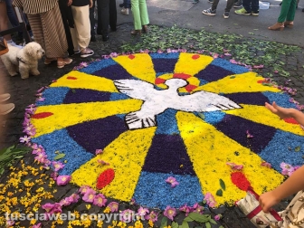 Civita Castellana - Corpus domini e Infiorata 2023