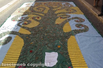 Tarquinia - Corpus Domini - Infiorata