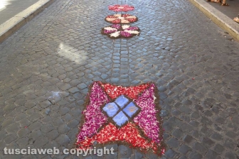 Tarquinia - Corpus Domini - Infiorata
