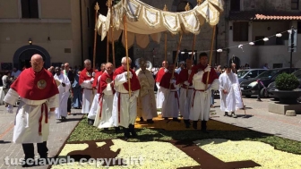 Tarquinia - Corpus Domini - Infiorata
