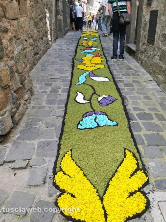 Corpus Domini, l'infiorata di Bolsena