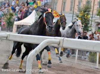 Ronciglione - Corse a vuoto