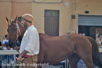 Ronciglione - Corse a vuoto