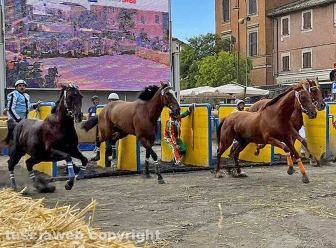 Ronciglione - Corse a vuoto