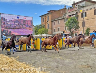 Ronciglione - Corse a vuoto