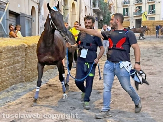 Ronciglione - Corse a vuoto 2023 - Vince il rione Fontana grande con il cavallo Ninfa da Clodia