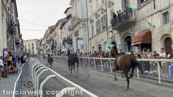 Ronciglione - Corse a vuoto 2024