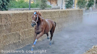 Ronciglione - Corse a vuoto 2024