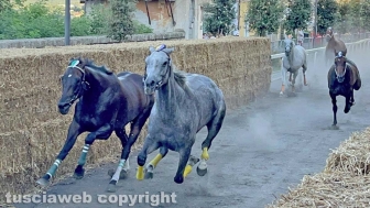 Ronciglione - Corse a vuoto 2024