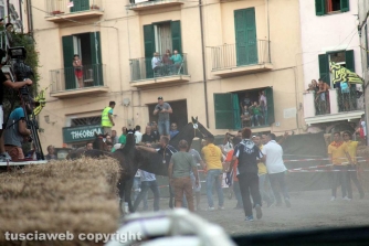 Corse a vuoto, il Campanone suona a festa
