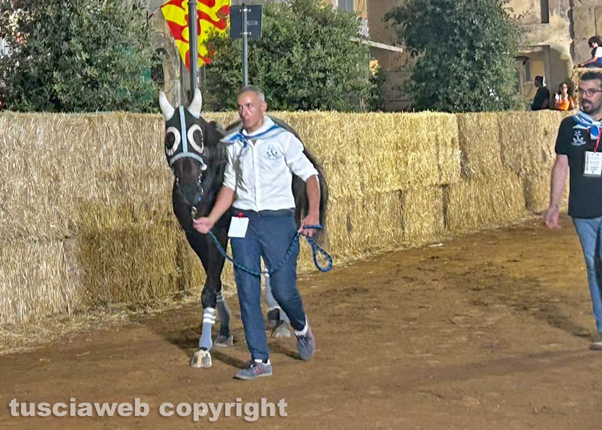 Ronciglione - Corse a vuoto - Il rione Fontana Grande vince il Palio di San Bartolomeo 2026