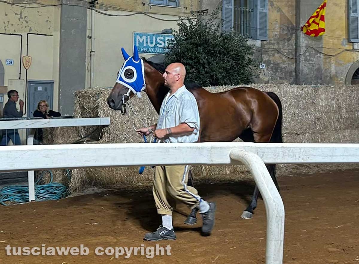 Ronciglione - Corse a vuoto - Il rione Fontana Grande vince il Palio di San Bartolomeo 2026