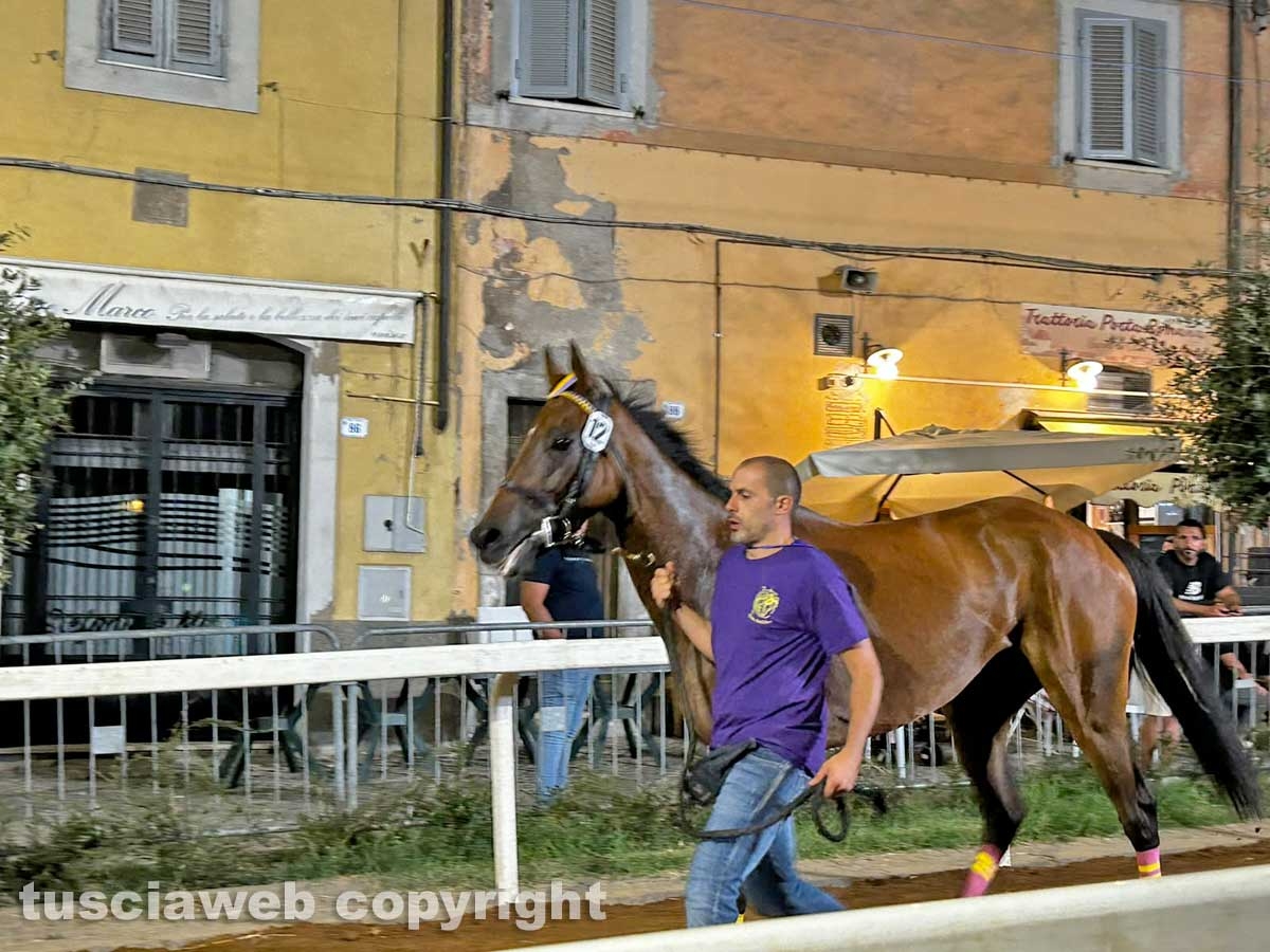 Ronciglione - Corse a vuoto - Il rione Fontana Grande vince il Palio di San Bartolomeo 2026
