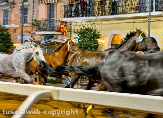 Ronciglione - Corse a vuoto - Il rione Fontana Grande vince il Palio di San Bartolomeo 2026