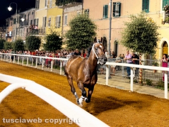 Ronciglione - Corse a vuoto - Il rione Fontana Grande vince il Palio di San Bartolomeo 2026
